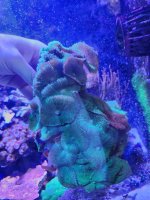 20240204_130510 (1).jpg