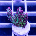 IMAGE 2024-05-31 23:08:13.jpg