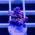 IMAGE 2024-05-31 23:08:02.jpg