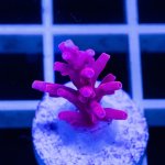 IMAGE 2024-05-31 23:08:04.jpg