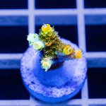 IMAGE 2024-05-31 23:07:54.jpg