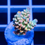 IMAGE 2024-05-31 23:08:06.jpg