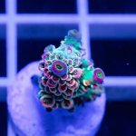 IMAGE 2024-05-31 23:08:08.jpg