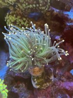 IMG_6953.jpeg