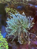 IMG_6952.jpeg