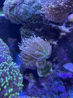 IMG_6950.jpeg