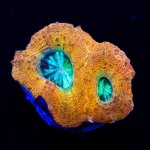 IMAGE 2024-04-23 23:08:47.jpg