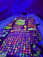 IMAGE 2024-04-17 23:43:11.jpg