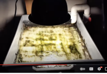 Screenshot 2024-08-16 at 1.08.50 PM.png