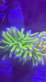PXL_20241205_000250233.jpg