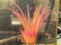 IMG_9812.jpeg