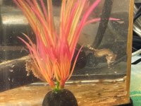IMG_9819.jpeg