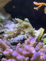 IMG_3180.jpeg