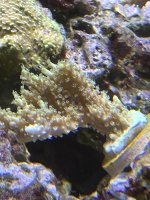 IMG_3186.jpeg