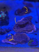 IMG_3203.jpeg