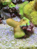 IMG_3174.jpeg