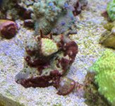 IMG_3175.jpeg