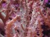 IMGA0691a.JPG