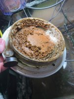 IMG_0352.jpeg
