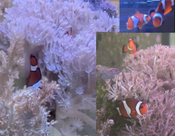 Screenshot 2024-12-28 at 3.23.37 PM.png