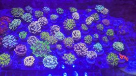 PXL_20250322_115252434.jpg
