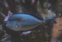 View recent photos (1).jpeg