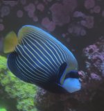 View recent photos (2).jpeg