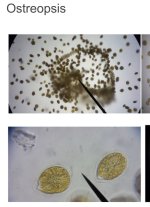 Screenshot_20250426_092042_M365 Copilot.jpg