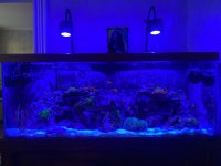 70 Gallon (2).jpeg