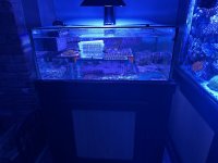IMG_9493.jpeg