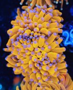1R7A3515.jpg