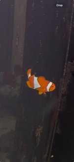 View recent photos.jpeg