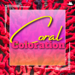 Coral Coloration.png