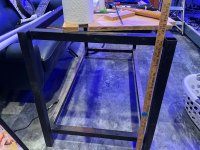 IMG_0395.jpeg