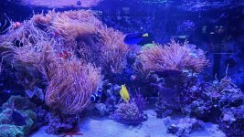 2025-09-16 13.01.37.jpg