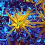 265 265 PA130259.JPG