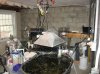 fishroom1.jpg
