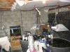 fishroom2.jpg