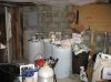 fishroom3.jpg