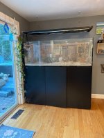 78061629379__1C62068E-6F86-470A-9240-E199D65A1421 Large.jpeg