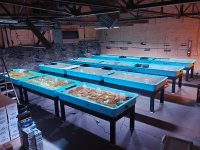 IMG20251201191609 copy Small.jpg