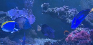 Screenshot 2026-01-14 080307.jpg