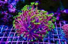  95 PHOTO-2026-02-10-12-56-59.jpg