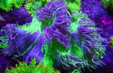 95 PHOTO-2026-02-10-12-54-48.jpg