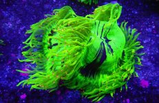 ID 3406_P1297992.jpg