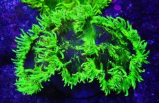 ID 3423_P1298052.jpg