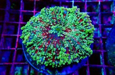 PHOTO-2026-02-11-05-39-19 2.jpg