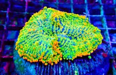 PHOTO-2026-02-11-05-39-19 3.jpg