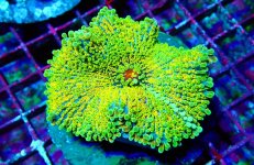 PHOTO-2026-02-11-05-39-19 4.jpg