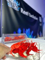 IMAGE 2026-02-24 10:02:31.jpg